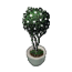 Decorative Topiary