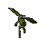 Jungle Imp