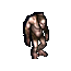 Troglodyte