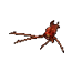 Kraken