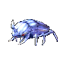 Small Beetle